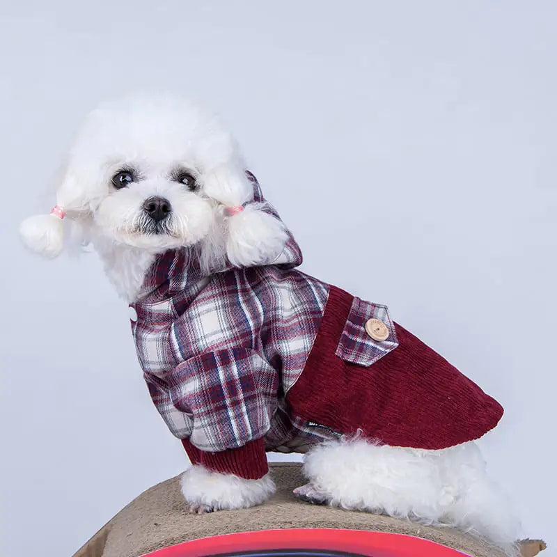 Teddy VIP Pomeranian Small Dog Cashmere Coat by F&N Shop